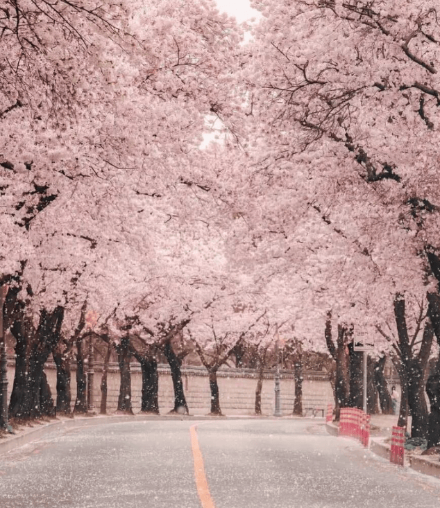 202512081331-1198509852.png image.png