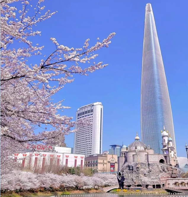 202512081331-6755930695.png image.png