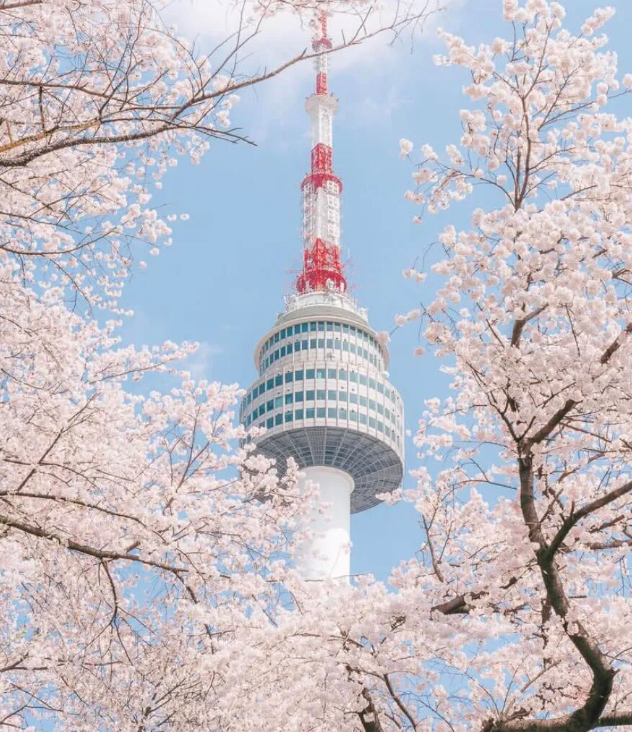 202512081331-7175109461.png image.png