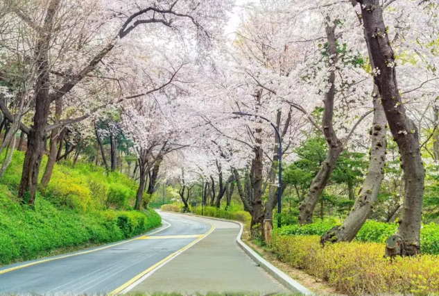 202512081332-1358379421.png image.png