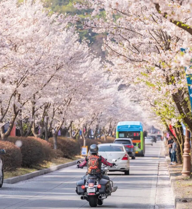 202512081332-9233104441.png image.png