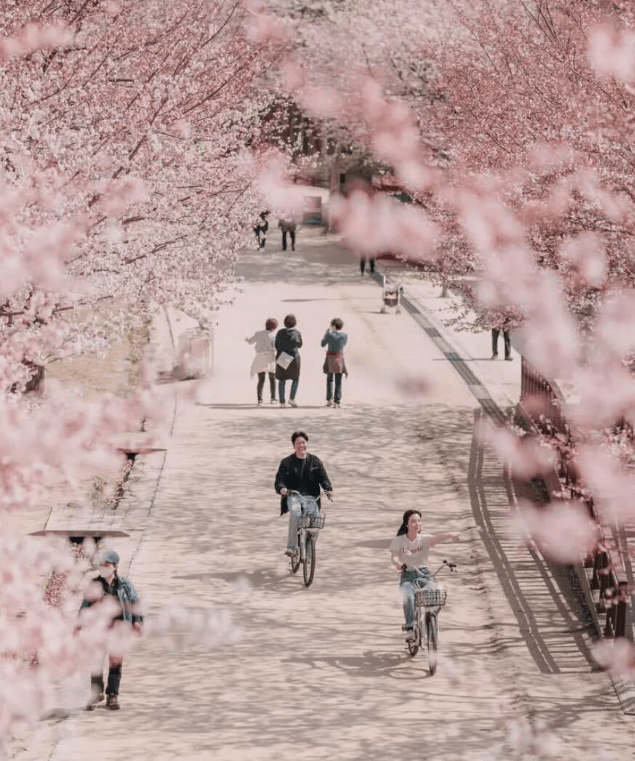 202512081332-9489390429.png image.png