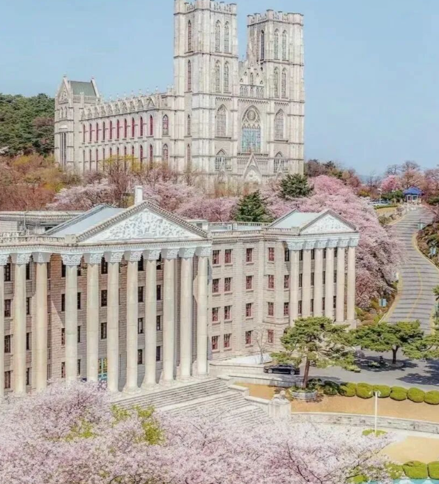 202512081332-9822367584.png image.png