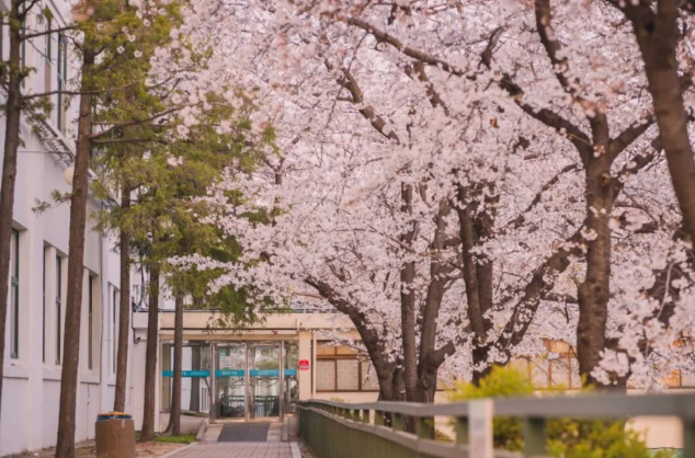 202512081333-7078632576.png image.png