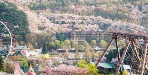 202512081339-6929962687.png image.png