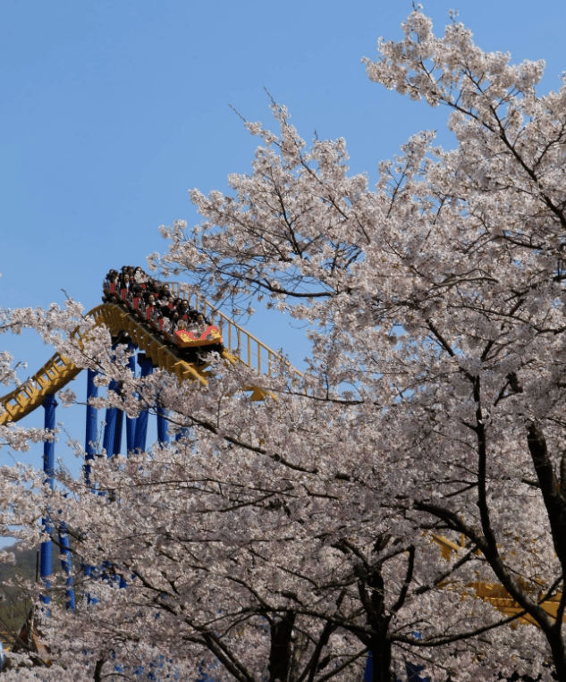 202512081339-9316696100.png image.png