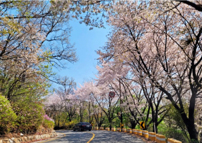 202512081340-2225769045.png image.png