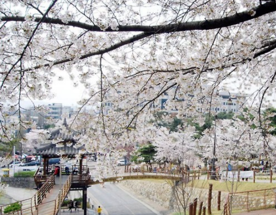 202512081340-7679431682.png image.png