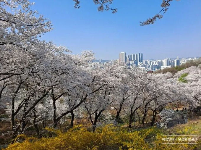 202512081341-2984178502.png image.png