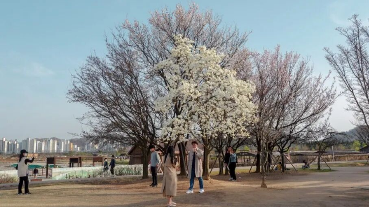 202512081341-5042534797.png image.png