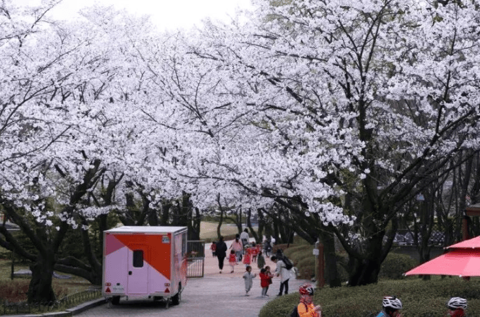 202512081341-5105155233.png image.png