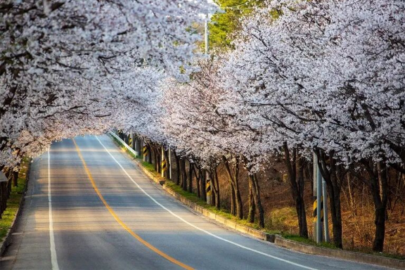 202512081341-9863360891.png image.png