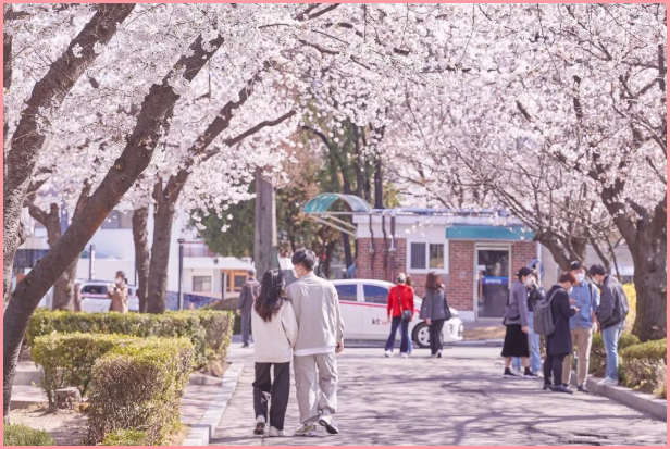 202512081346-1814888672.png image.png