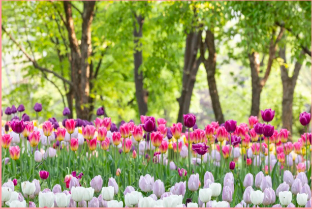 202512081346-3106844684.png image.png