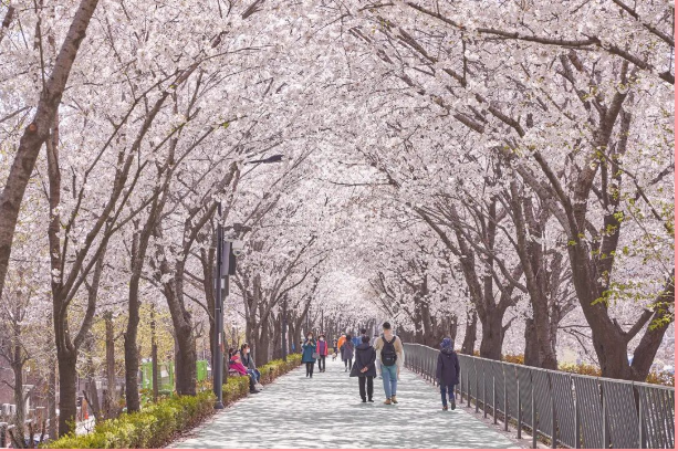 202512081346-4403927243.png image.png