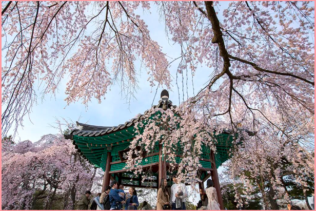 202512081346-5535510201.png image.png