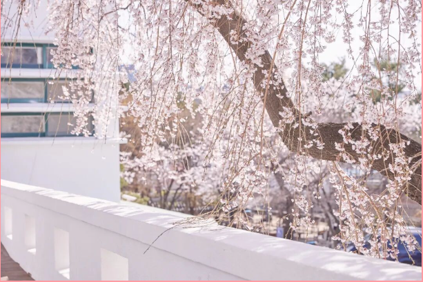 202512081347-1377876079.png image.png