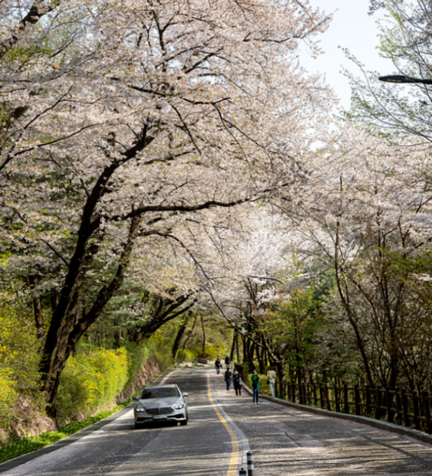 202512081400-1235522839.png image.png