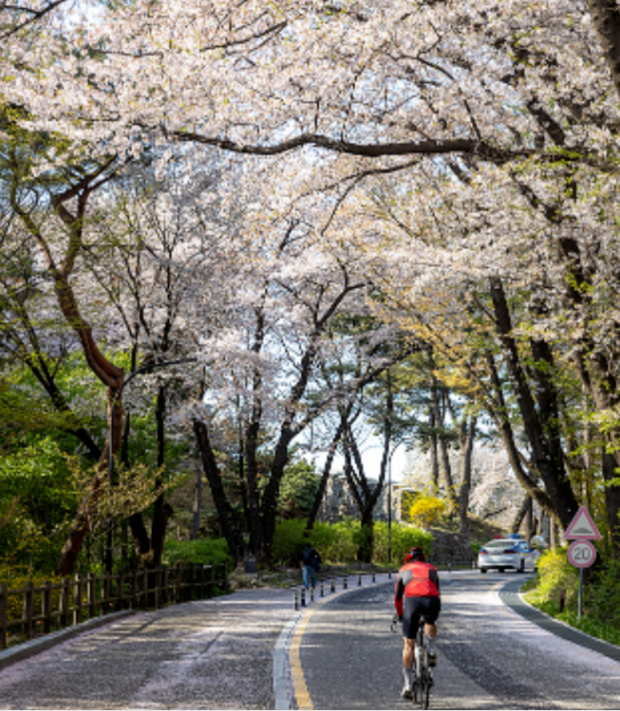 202512081400-3922961379.png image.png