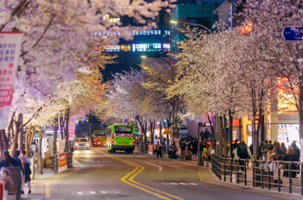 202512081400-6156946146.png image.png