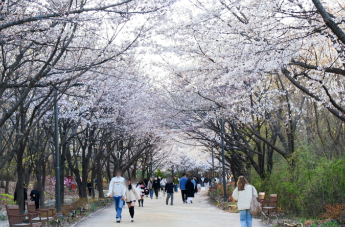 202512081400-6270266102.png image.png