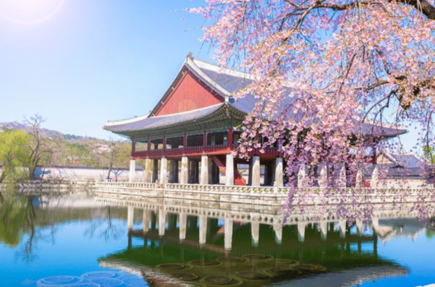 202512081401-8223579415.png image.png