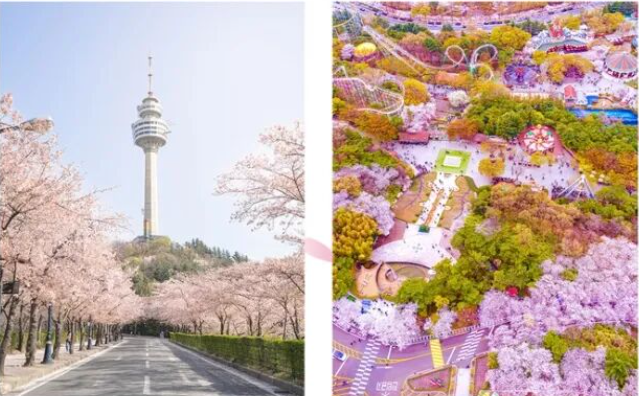 202512081402-4860823078.png image.png