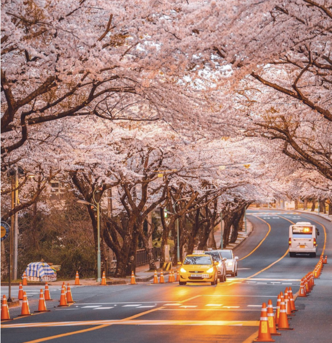 202512081442-5957577226.png image.png