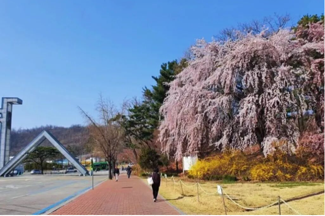 202512081452-5415754236.png image.png