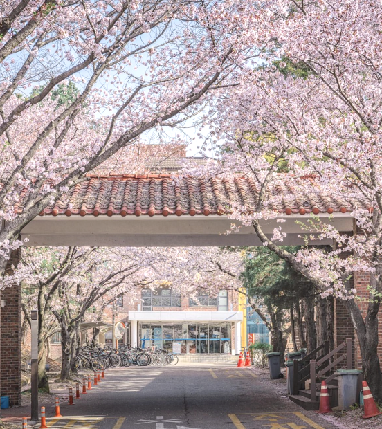 202512081452-7971485954.png image.png