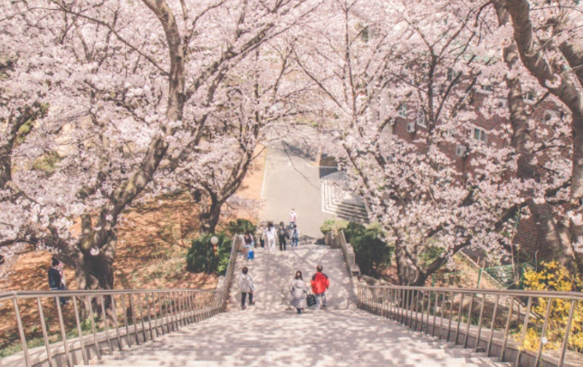 202512081453-1941132828.png image.png