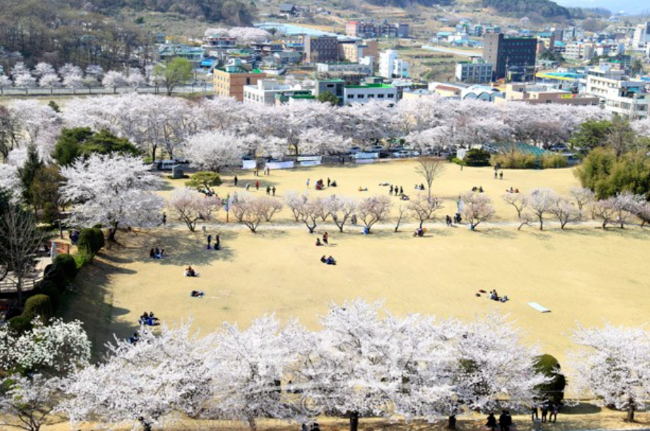 202512081453-4188074950.png image.png