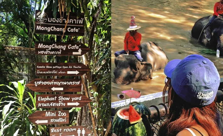 202512081511-2693284319.png image.png