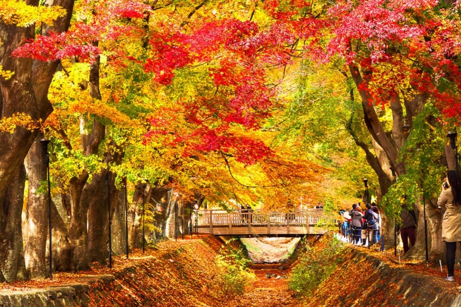 202512081538-1725249286.jpg DM_20251208152413_013.jpg