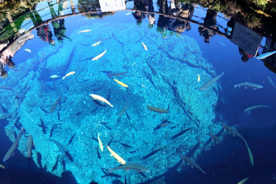 202512081538-4700638484.jpg DM_20251208152413_006.jpg