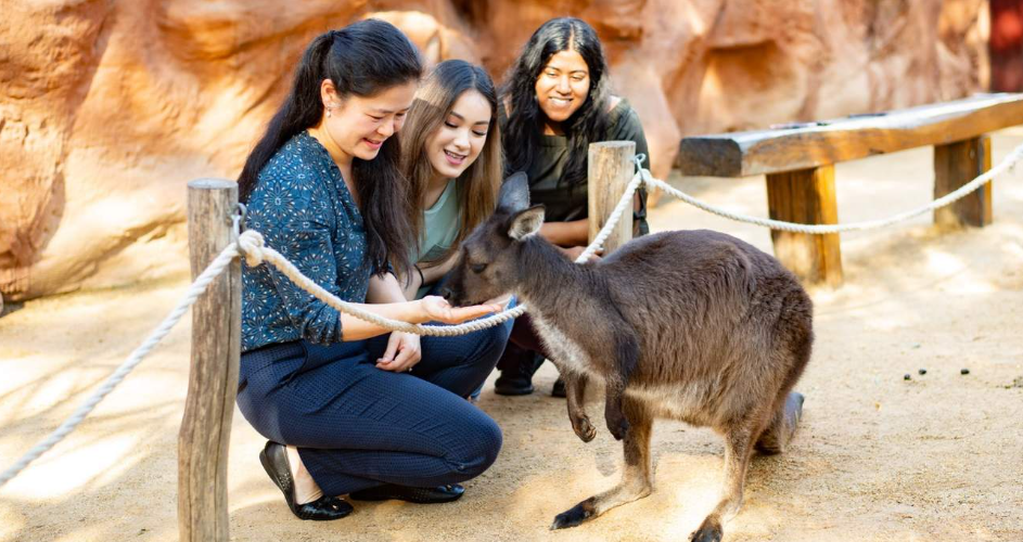 202512090917-5256637451.png image.png