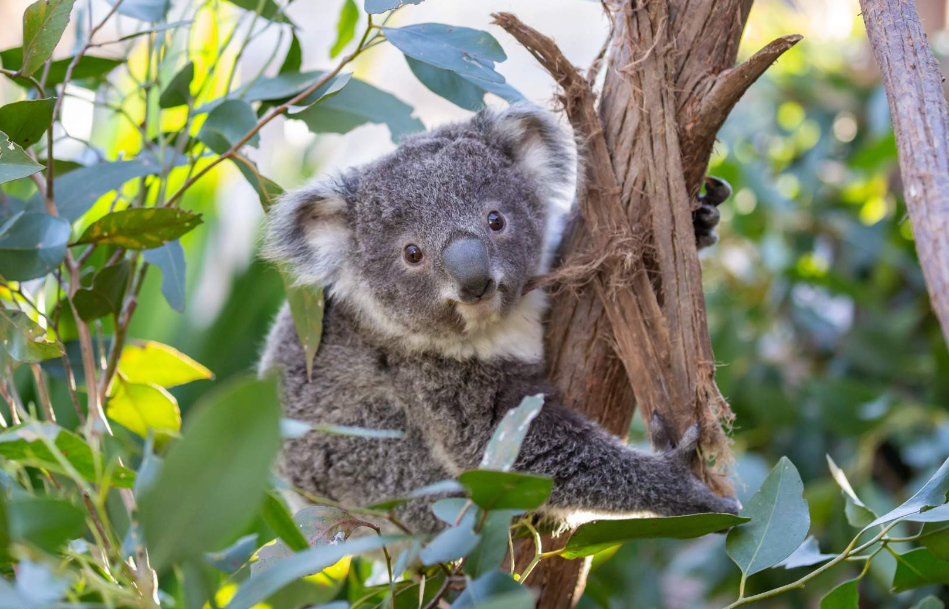 202512090917-6041666916.png image.png