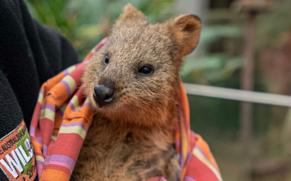 202512090917-7635179655.png image.png