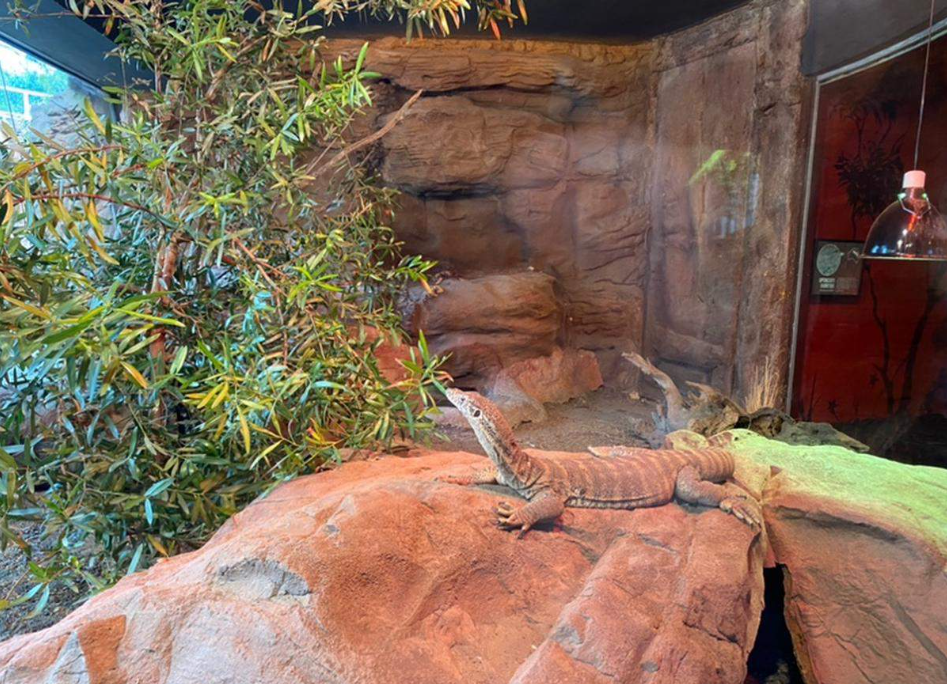 202512090918-4530809079.png image.png