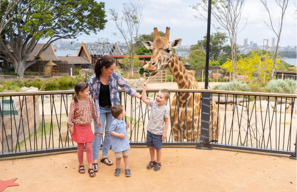 202512090938-2889196560.png image.png