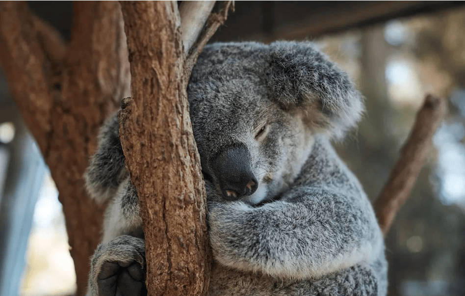 202512090939-5134578612.png image.png