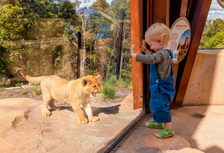 202512090939-5275645990.png image.png