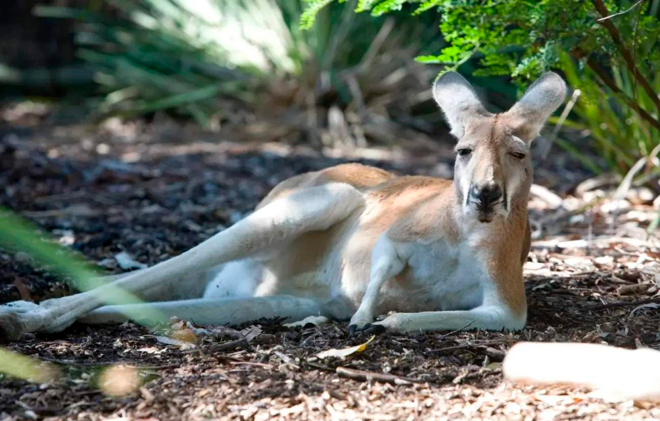 202512090939-8372897007.png image.png