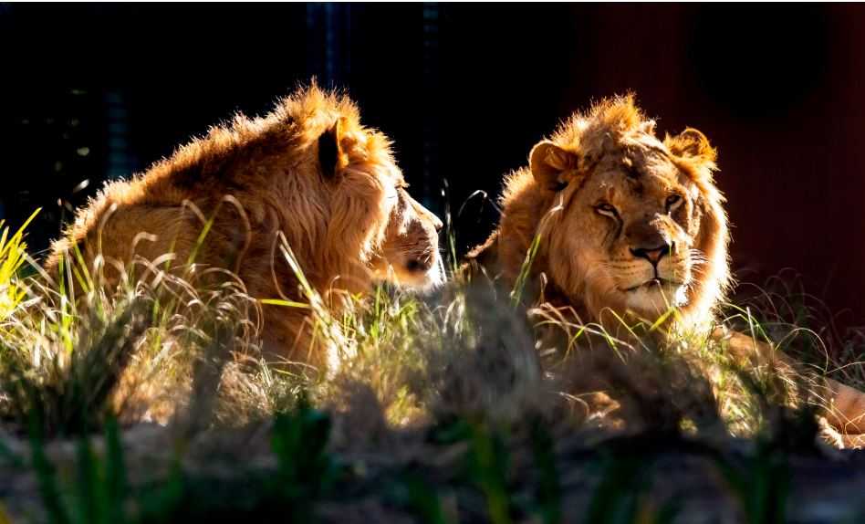 202512090940-8442693701.png image.png