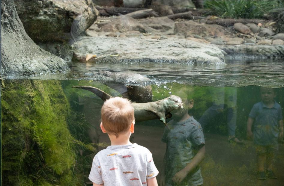 202512090941-1336930747.png image.png