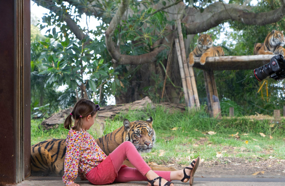 202512090941-6675403680.png image.png