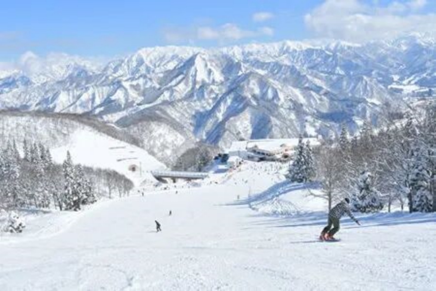 202512090958-5736686097.jpg DM_20251209094603_041.jpg