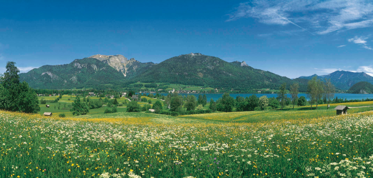 202512091016-8417765882.png image.png