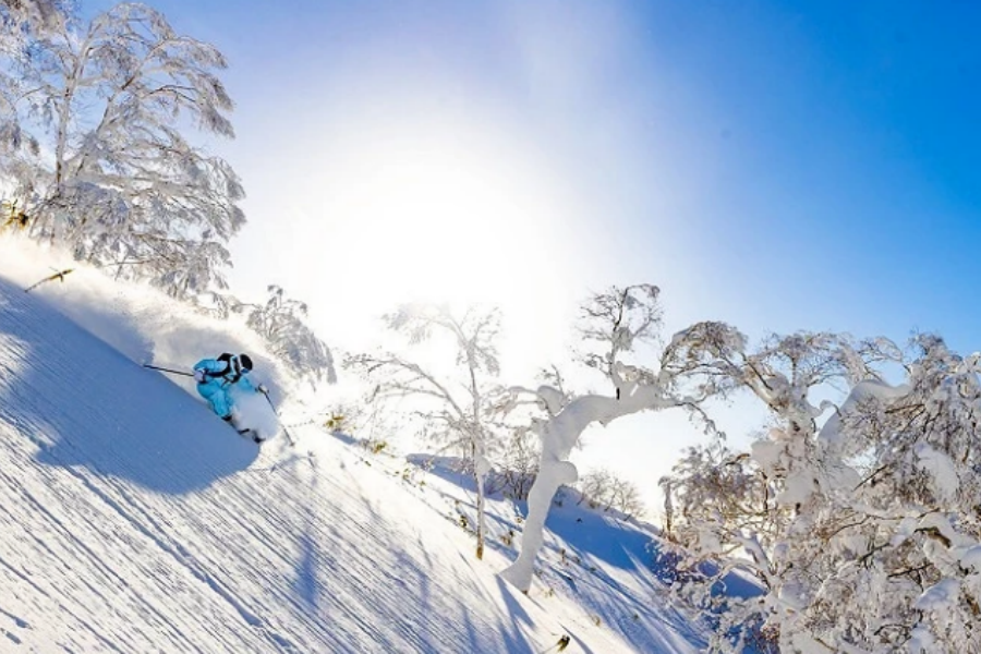 202512091019-2957273487.png DM_20251209101513_001.png