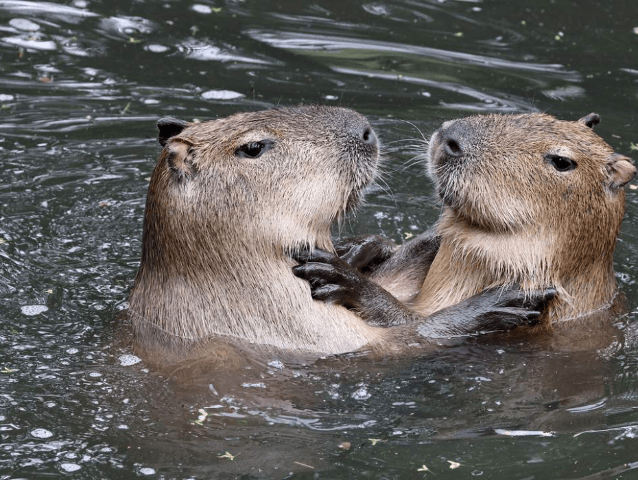 202512091024-4178869977.png 企业微信截图_17652468802101.png